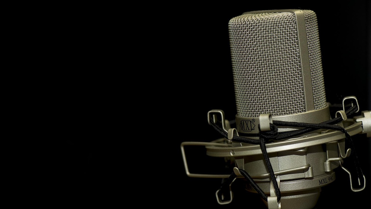 Voice Over Artist
